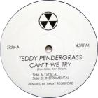 Can't We Try (Timmy Regisford Remix)