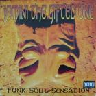 Funk Soul Sensation