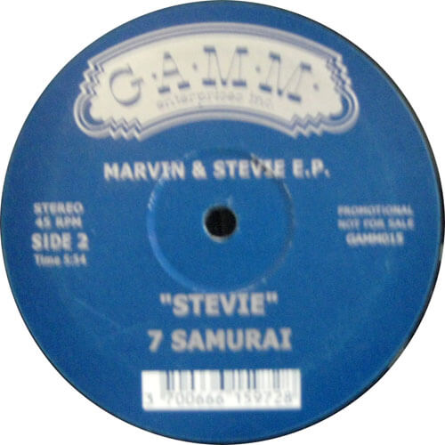 Marvin & Stevie E.P.