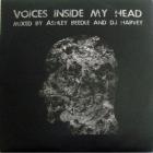 Voices Inside My Head