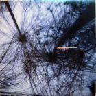 Experience EP