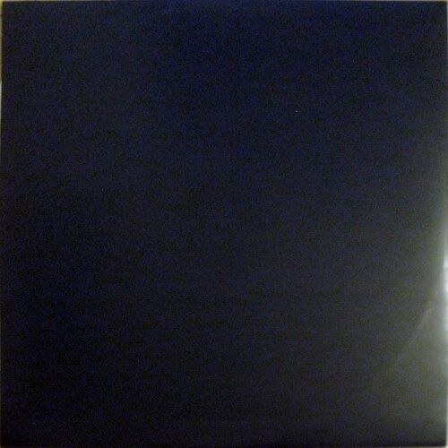 Voices Inside My Head