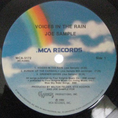 Voices In The Rain