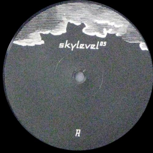 Skylevel 05