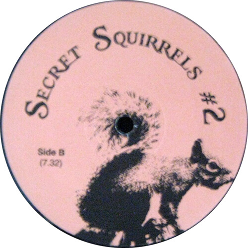 Secret Squirrels #2