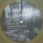 Skulking In The Shadow