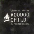 Voodoo Child (DJ Premier Remix)