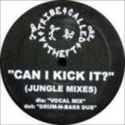 Can I Kick It? (Jungle Mixes)